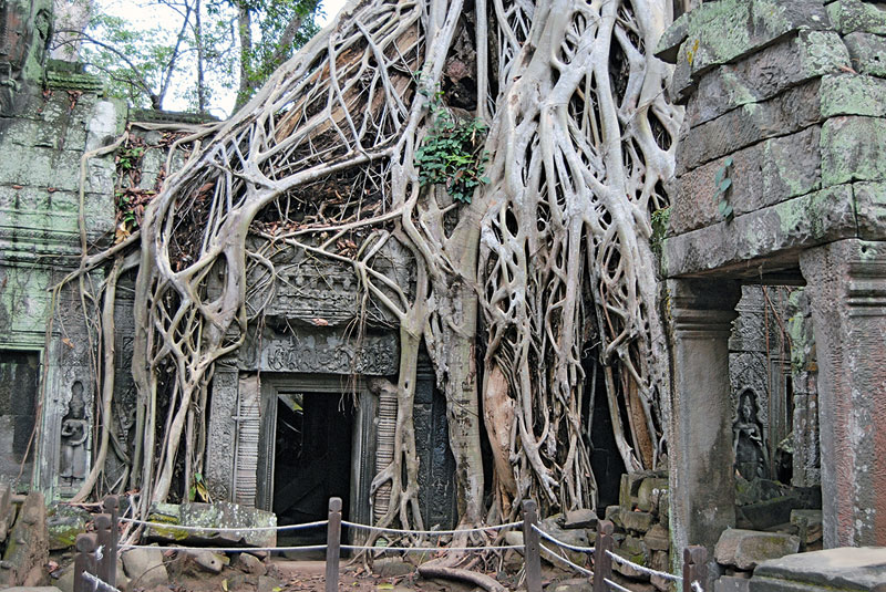 Kradblatt &#8211; Staging